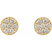 14K Yellow 3/8 CTW Diamond Cluster Earrings-