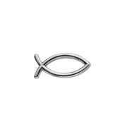 Sterling Silver 6.5x14 mm Fish Lapel Pin-