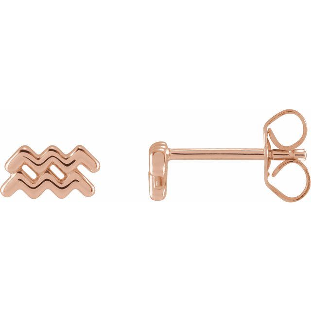 ZODIAC EARRINGS-14K Rose-Aquarius-